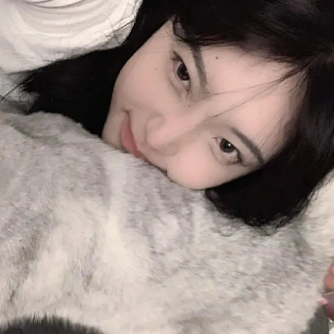 白猩猩历险记